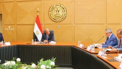 مصر-وروسيا-تبحثان-توسيع-الشراكة-في-مجال-الطاقة-المتجددة