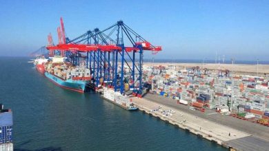 “القابضة-للنقل-البحري”-ترفع-حصتها-في-“الإسكندرية-للحاويات”-بـ881-مليون-جنيه