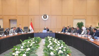 الحكومة-تناقش-مقترحات-لزيادة-التعاون-الاقتصادي-والاستثماري-مع-كوريا-الجنوبية