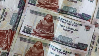 مصر-تخصص-90-مليار-جنيه-لبرامج-مساندة-النشاط-الاقتصادي-بـ2026-2027