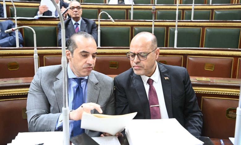 وزير-العمل-:-صدور-قانون-العمل-إنجاز-كبير-للدولة-المصرية 