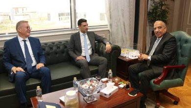 وزراء-“الكهرباء”-و”البترول”-و”الصناعة”-يبحثون-ضمان-الاستدامة-وأمن-الطاقة