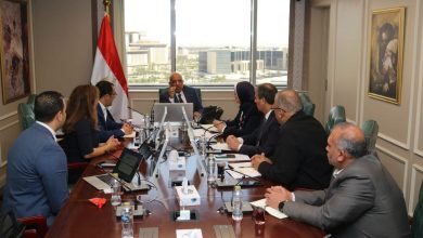 “الكهرباء”-و”نكسوس-أنالاتيكا”-تناقشان-تسريع-الرقمنة-وتعزيز-كفاءة-الشبكة-والطاقة-المتجددة-بمصر