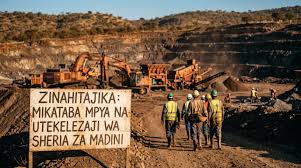 تنزانيا-تلغي-40-رخصة-تعدين-وتفتح-الباب-أمام-صغار-المستثمرين