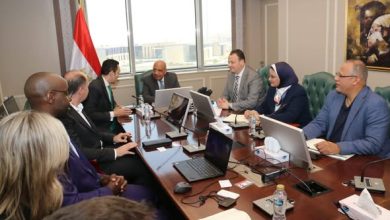 “الكهرباء”-تبحث-مع-“سكاتك”-مستجدات-تنفيذ-مشروعات-طاقة-متجددة-بقدرة-3100-ميجاوات