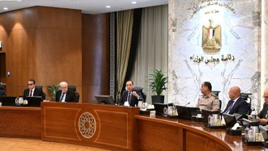 الحكومة-تصدر-الضوابط-والمعايير-المُوحدة-لحوكمة-اختيار-مُمثلي-الدولة-وشركاتها