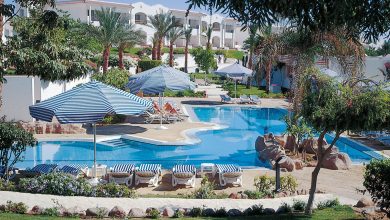 “شارم-دريمز”-تضاعف-أرباحها-السنوية-38-مرة-إلى-224.6-مليون-جنيه