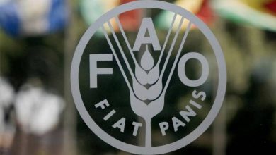 الفاو-تحذر-من-ضغوط-تضخمية-بسبب-ارتفاع-أسعار-الأسمدة-واضطرابات-الإمدادات