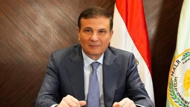 وزير-الزراعة-لـ”البورصة”:-توريد-400-ألف-طن-قمح-منذ-بدء-موسم-الحصاد