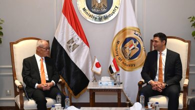 شركات-يابانية-ترغب-في-التعرف-على-المزايا-الاستثمارية-بمصر