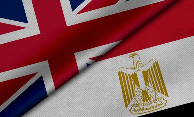 شركات-أدوية-بريطانية-ترغب-في-ضخ-استثمارات-جديدة-بمصر