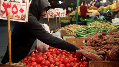 توقعات-بارتفاع-التضخم-إلى-16.5%-فى-أبريل
