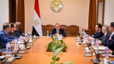 وزير-الخارجية-يلتقي-ممثلي-الشركات-المصرية-العاملة-في-أفريقيا-لتعزيز-النشاط-الاقتصادي-بالقارة
