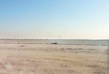 “العربية-لاستصلاح-الأراضي”-تنفي-شراكتها-مع-صندوق-إماراتي-للزراعة-في-توشكى
