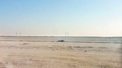 “العربية-لاستصلاح-الأراضي”-تنفي-شراكتها-مع-صندوق-إماراتي-للزراعة-في-توشكى
