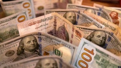 احتياطي-النقد-الأجنبي-لمصر-يرتفع-إلى-53-مليار-دولار-بنهاية-أبريل