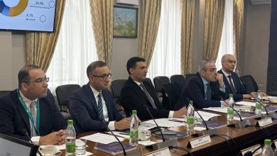 وزير-الصناعة-يبحث-تسريع-تنفيذ-المنطقة-الصناعية-الروسية